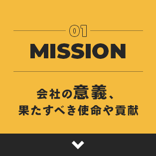 03bnr_mission