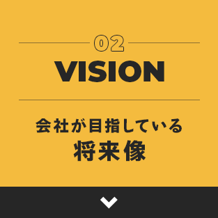03bnr_vision