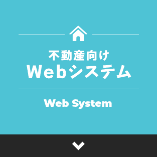 03bnr_web-system